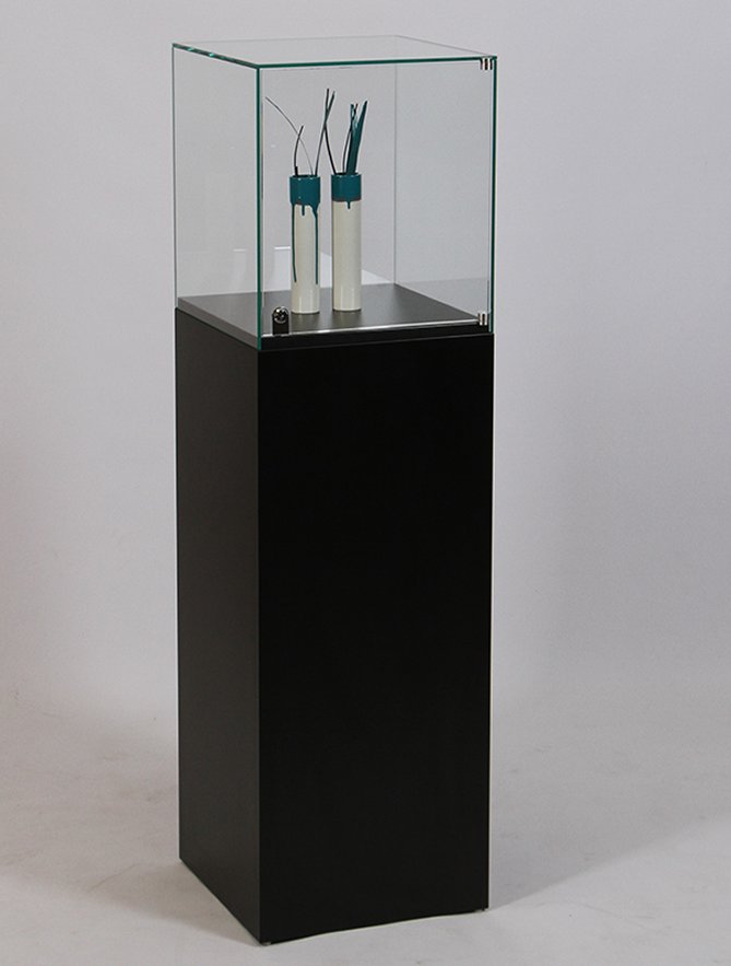 elegante Sockelvitrine mit einer abschließbaren Glashaube auf einem scharzem Sockel fest montiert