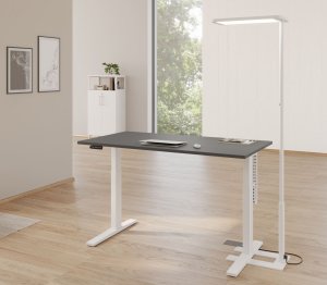 preiswerter elektrisch höhenverstellbarer Sitz-Stehschreibtisch silbergrau