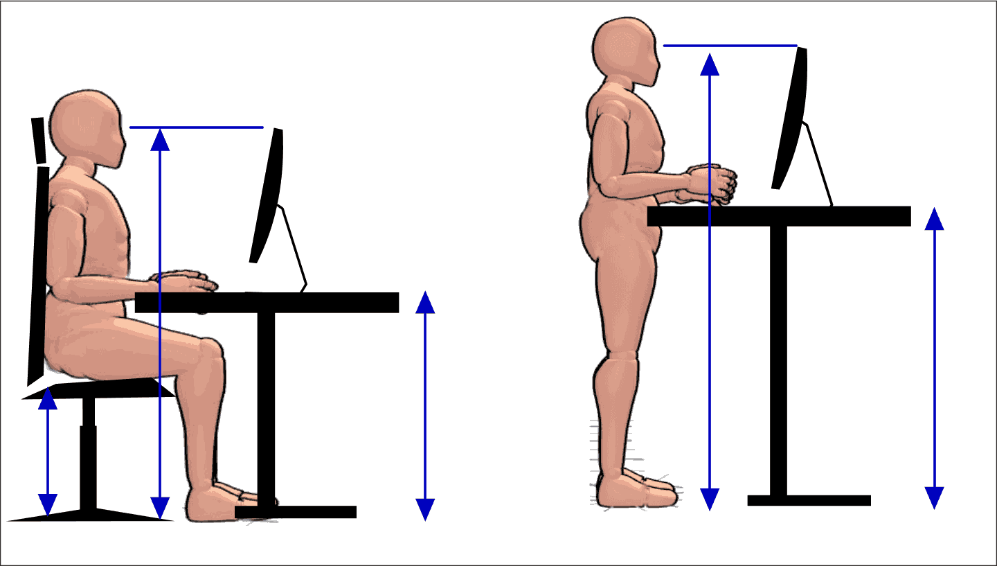 Sitzhöhe, Schreibtischhöhe und Stehtischhöhe Rechner