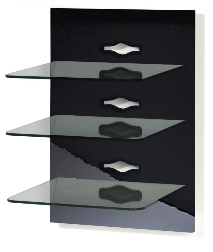 Wandpaneele "Xeno-3 Hochglanz-Edellack schwarz": modernes und besonders