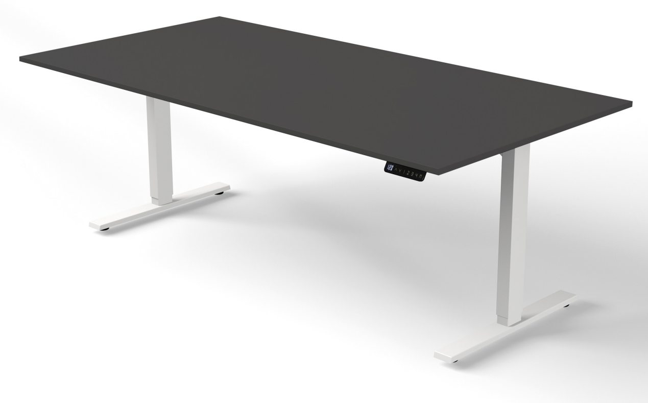 Sitz-Stehschreibtisch Tischplatte anthrazit 200x100 cm elektrisch verstellbar