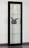 elegante Präsentations-Vitrine